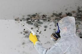 Mold Remediation for Vacation Homes in Cocoa Beach, FL